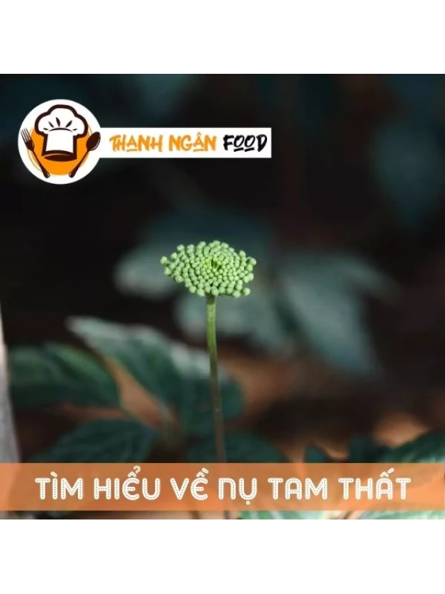   Tinh Hoa Trà Hoa Tam Thất Bào Tử Sấy Lạnh Tự Nhiên Thượng Hạng: Một Sự Kết Hợp Tuyệt Vời Cho Sức Khỏe