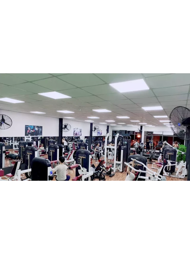   30 Phòng tập Gym có PT ở TPHCM: Tìm hiểu về giá rẻ, chất lượng và dịch vụ tốt