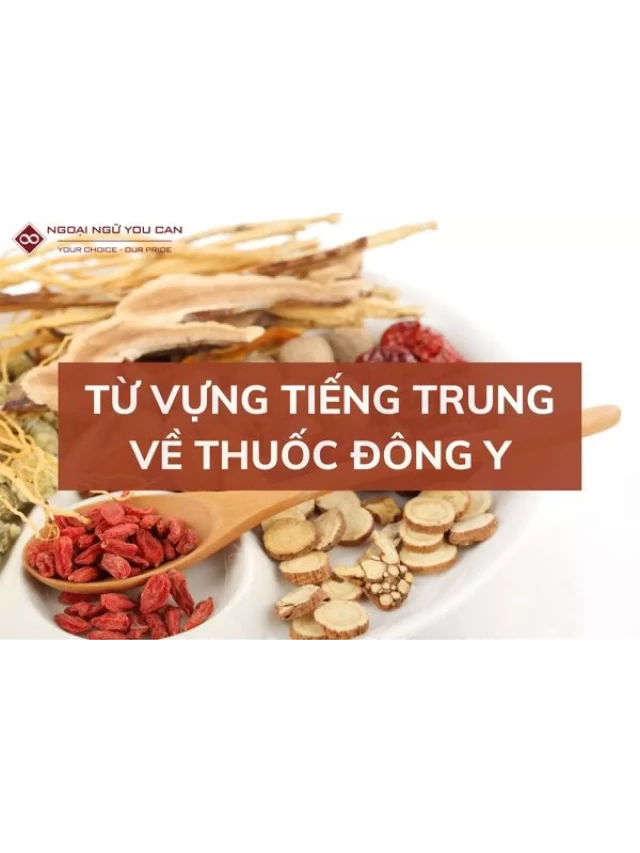   Từ Vựng Tiếng Trung Về Thuốc Đông Y Bạn Nên Biết: Tìm Hiểu Về Sức Khỏe Từ Ngành Y Học Trung Quốc